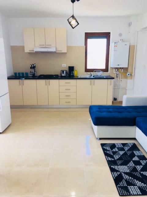 Ariana Apartment Năvodari المظهر الخارجي الصورة