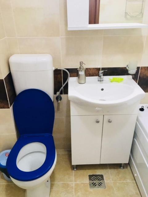 Ariana Apartment Năvodari المظهر الخارجي الصورة